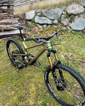 Cannondale jekyll 1