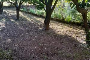 Vendita Terreni Formicola (CE)