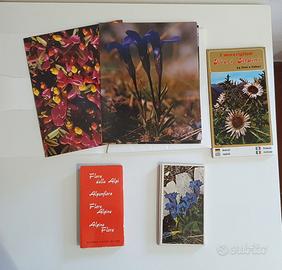 N° 4 Libri sui Fiori Alpini