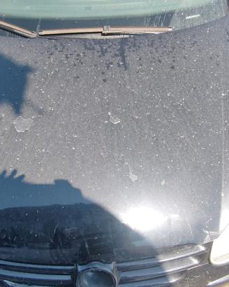VOLKSWAGEN GOLF 5 2007 COFANO ANTERIORE