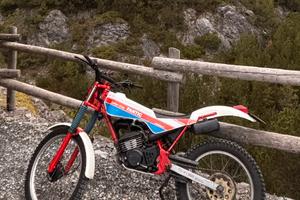 Fantic 50 trial