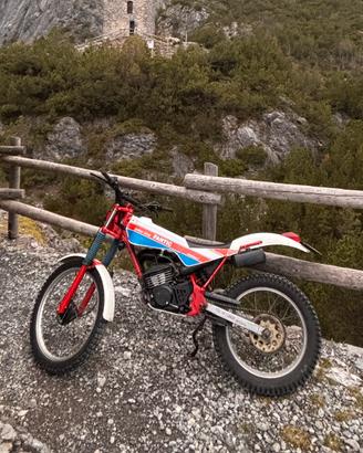 Fantic 50 trial
