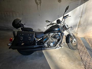 Suzuki-m800 intruder