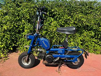 cube e mountainbike reaction Hybrid Performance 500 Volksfest Inhalt:40 g MPREIS - Ananas: Empfohlen