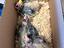 Immagine 3