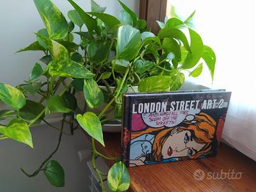 London street art 2 - Alex MacNaughton