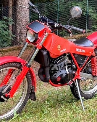 MONTESA COTA 330 (1985)