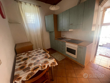 Tiburtina, Collatina