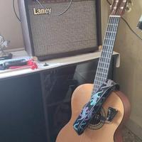 Chitarra più amplificatore