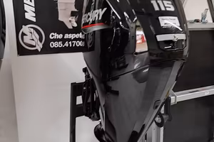 Hai un Mercury 115? Chiamaci te lo supervalutiamo