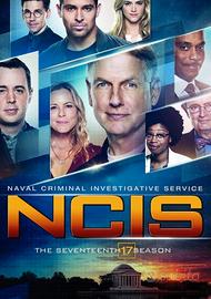 NCIS stagione 17