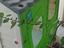 Immagine 6