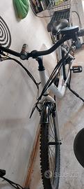 bicicletta elettrica 