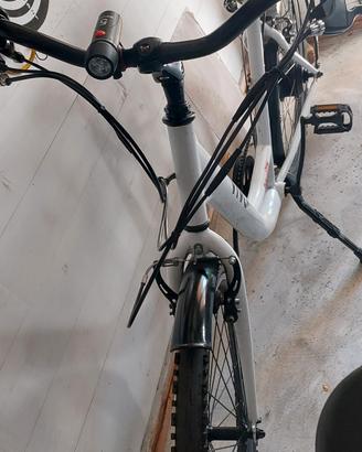 bicicletta elettrica 