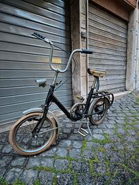 Graziella Carnielli Prima Serie 1966