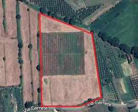 Terreno Agricolo Biologico