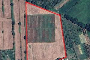 Terreno Agricolo Biologico