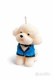 Candela Barboncino piccolo bianco