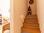 Immagine 21