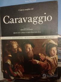 Libri di Arte e di artisti dal 1400 al 1900