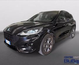 FORD Kuga 1.5 EcoBlue 120 CV aut. 2WD ST-Line