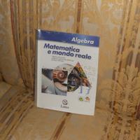 Matematica e mondo reale, Algebra