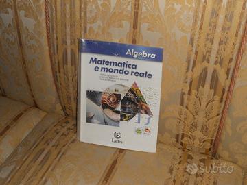 Matematica e mondo reale, Algebra