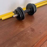 MANUBRIO REGOLABILE + PESI