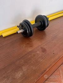 MANUBRIO REGOLABILE + PESI