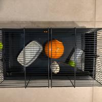 Gabbietta criceto completa di accessori