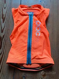 Paraschiena sci junior