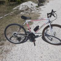 bicicletta mountain bike