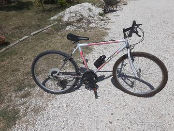 bicicletta mountain bike