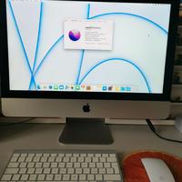 iMac 21.5 late 2013 upgraded