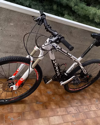 Mtb focus