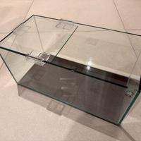 Teca per tartaruga e accessori