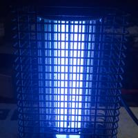 Cattura zanzare mosquito 