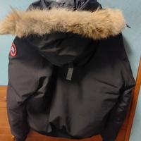 canada goose chilliwack bomber