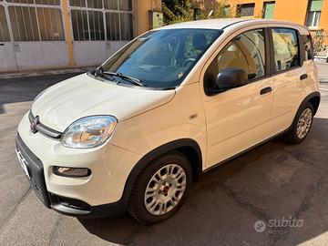 Fiat Panda 1.0 firefly hybrid s&s 70cv PREZZO REAL