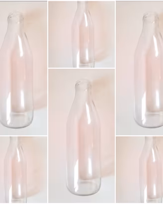 10 bottiglie da 1 lt