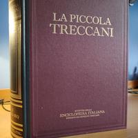 PICCOLA TRECCANI