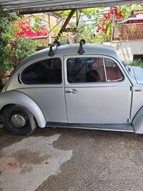 Maggiolino