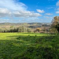 Roberto.VENDITA TERRENO AGRICOLO PECCIOLI (PI)