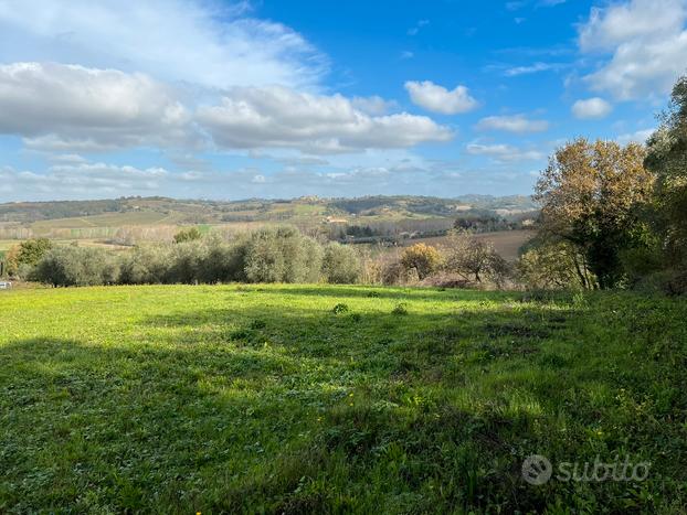 Roberto.VENDITA TERRENO AGRICOLO PECCIOLI (PI)