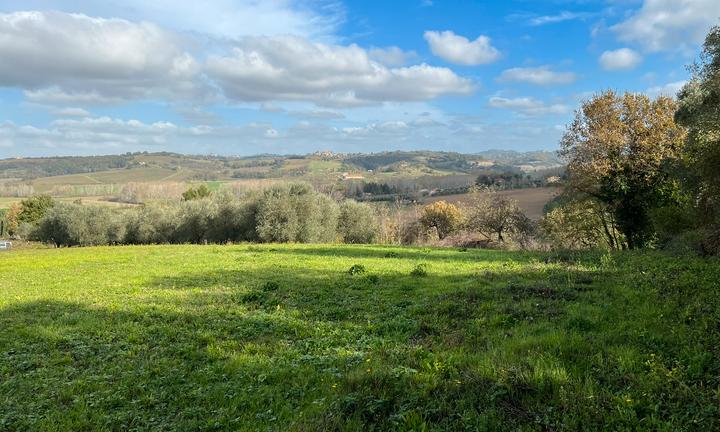 Roberto.VENDITA TERRENO AGRICOLO PECCIOLI (PI)