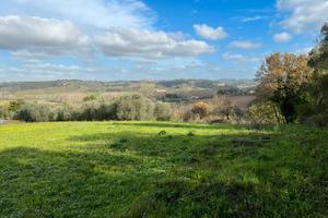 Roberto.VENDITA TERRENO AGRICOLO PECCIOLI (PI)