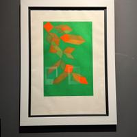 Vedra di Achille Perilli