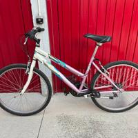Bici mountain bike