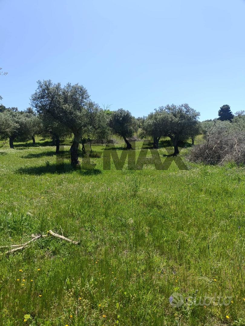 Terreno - Caltagirone - Vista 3