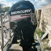 Mercury EFI 115 4t con 187 ore